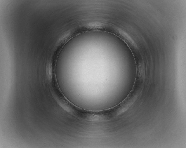 X0000112080494200908041257