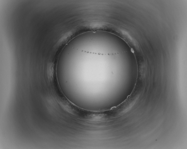 X0000112080495200908041257