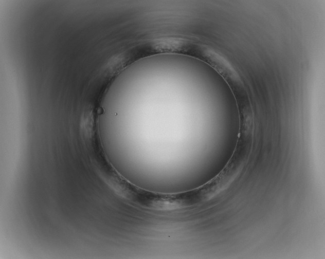 X0000112080498200908041257