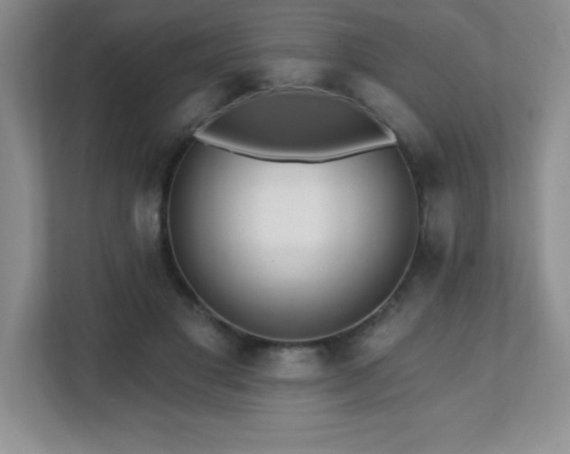 X0000112080501200908041257