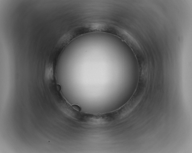 X0000112080502200908041257