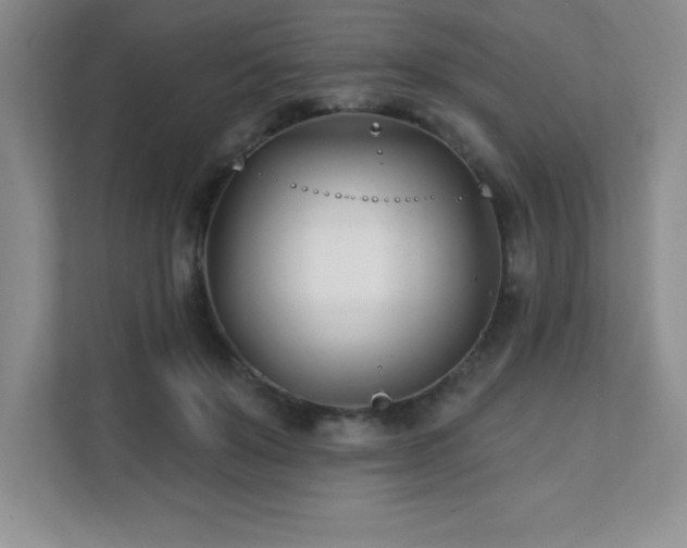 X0000112080503200908041257