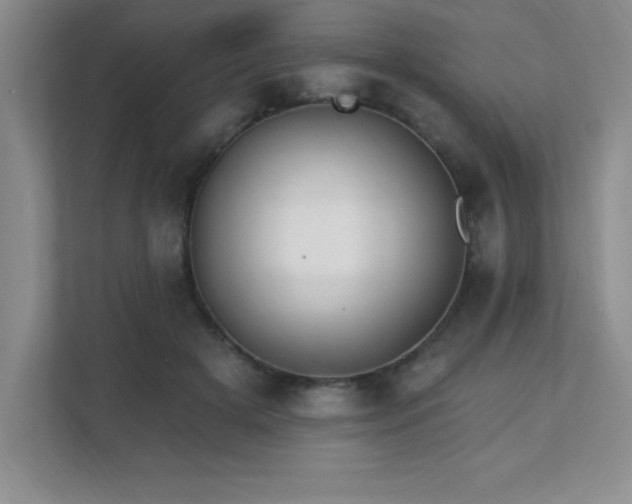 X0000112080505200908041257