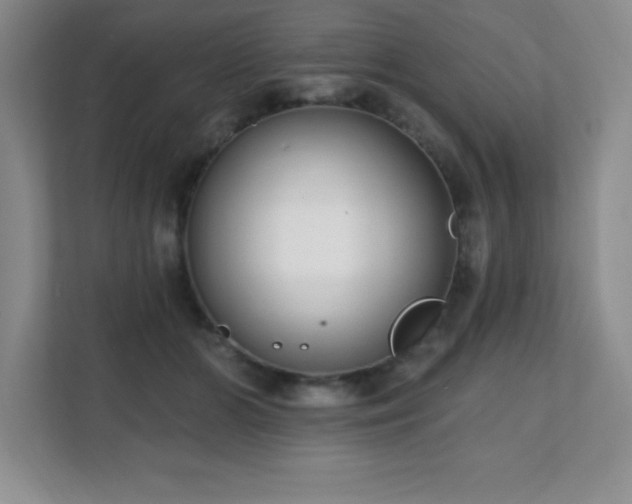 X0000112080510200908041256