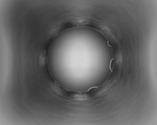 X0000112080515200908041256