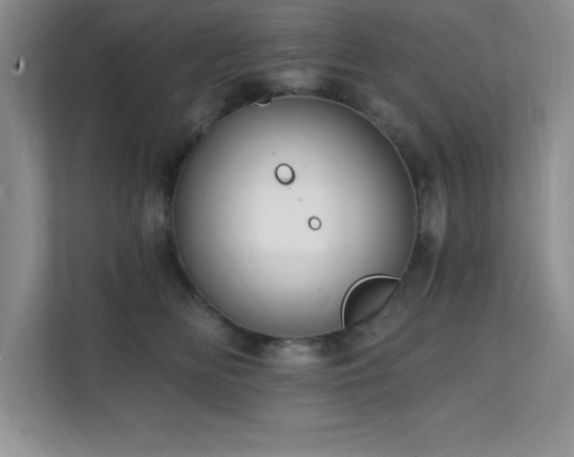 X0000112080518200908041256