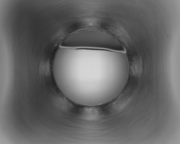 X0000112080520200908041256