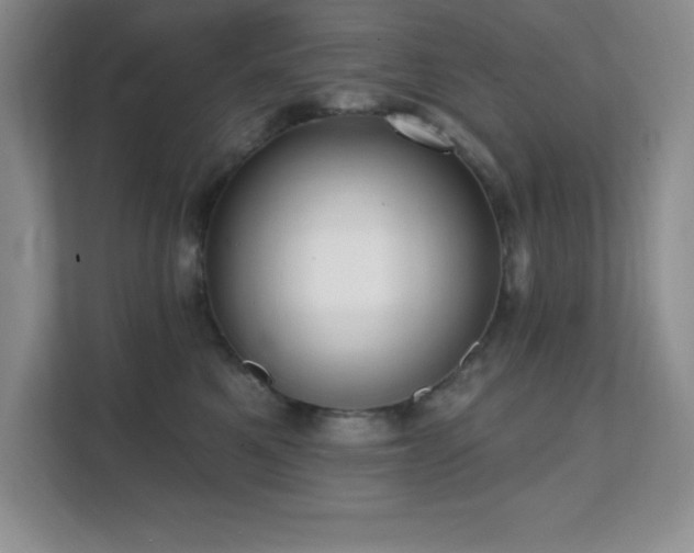 X0000112080521200908041256