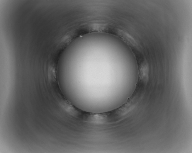 X0000112080522200908041256
