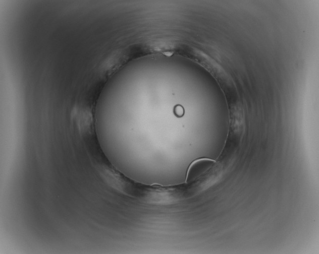 X0000112080523200908041256