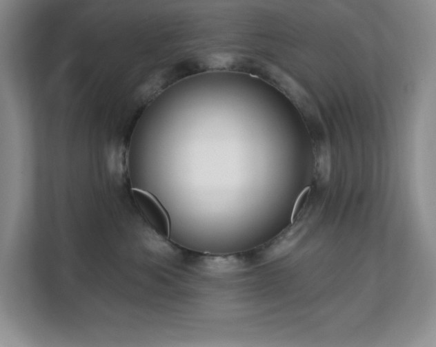 X0000112080525200908041256