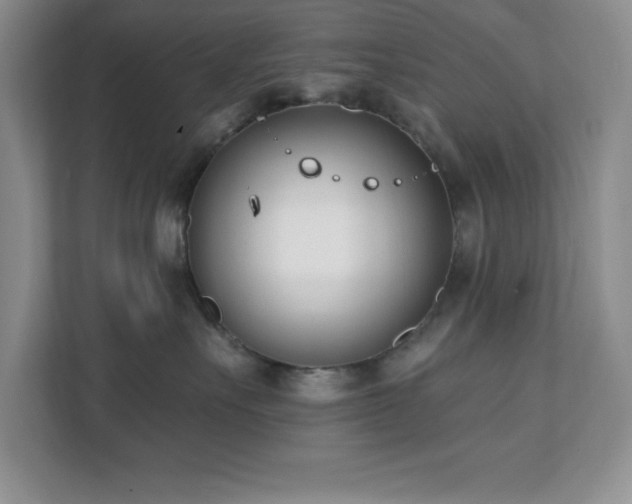 X0000112080527200908041256