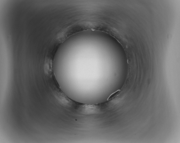 X0000112080528200908041256