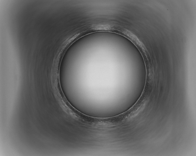 X0000112080529200908041256