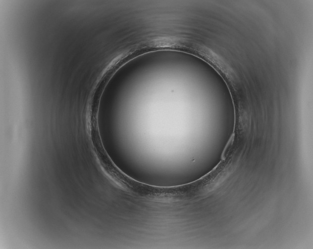X0000112080530200908041256