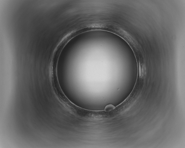 X0000112080531200908041256