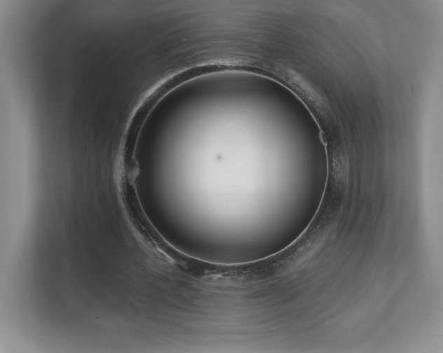 X0000112080532200908041256