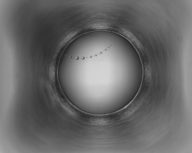 X0000112080533200908041256