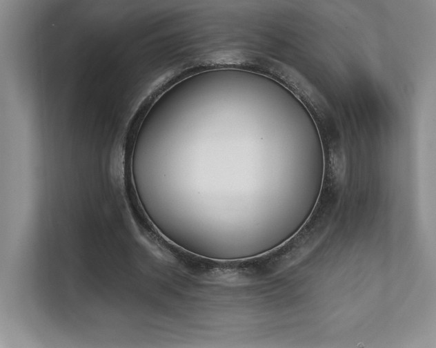X0000112080534200908041256