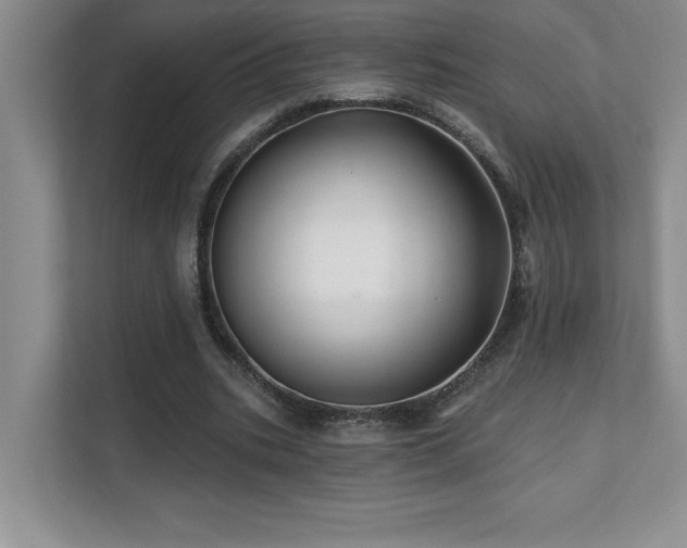 X0000112080535200908041256