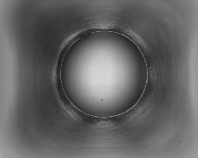 X0000112080536200908041256