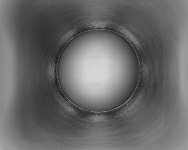 X0000112080537200908041256