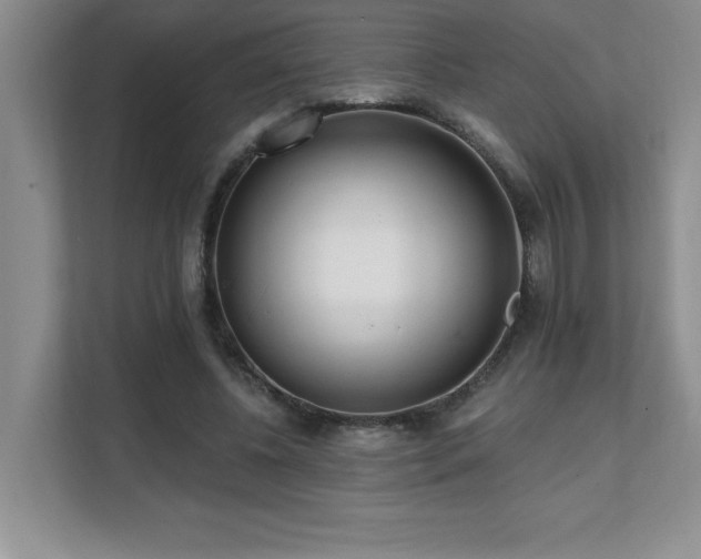 X0000112080540200908041256