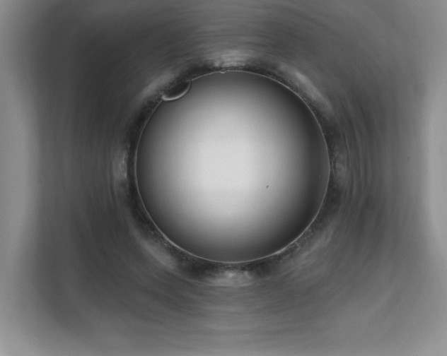 X0000112080543200908041256