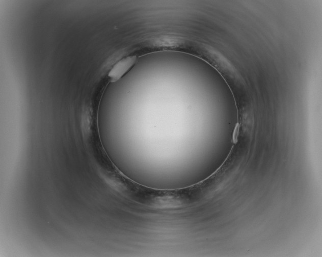 X0000112080544200908041256