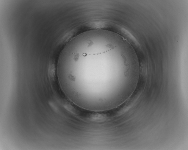 X0000112080549200908041256