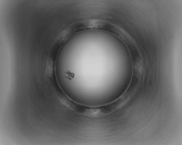 X0000112080554200908041256