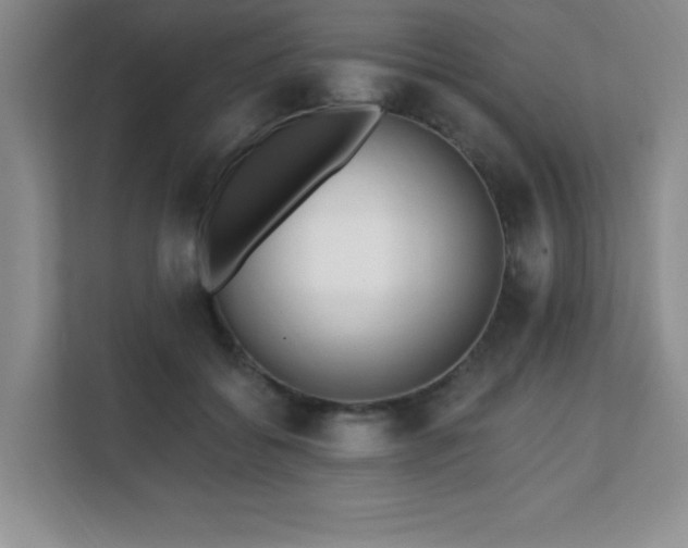 X0000112080556200908041256