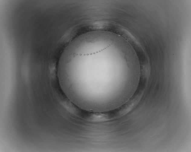 X0000112080557200908041256