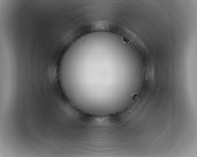 X0000112080560200908041256