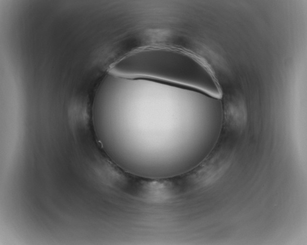 X0000112080566200908041256