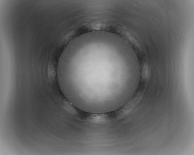 X0000112080569200908041256
