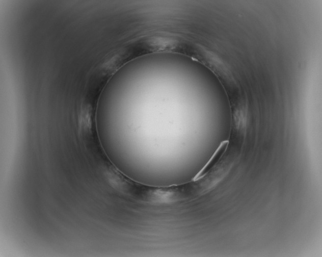 X0000112080570200908041256