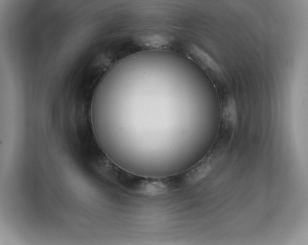 X0000112080572200908041256
