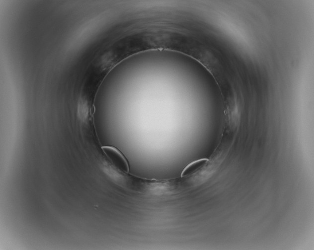 X0000112080574200908041256