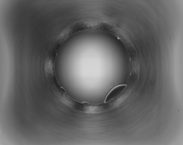 X0000112080575200908041256