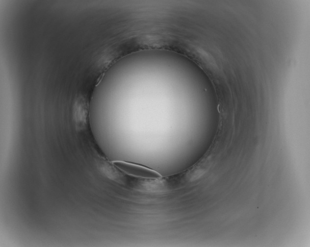 X0000112080576200908041256