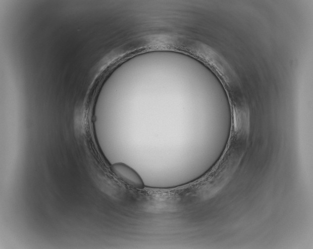 X0000112080579200908041256