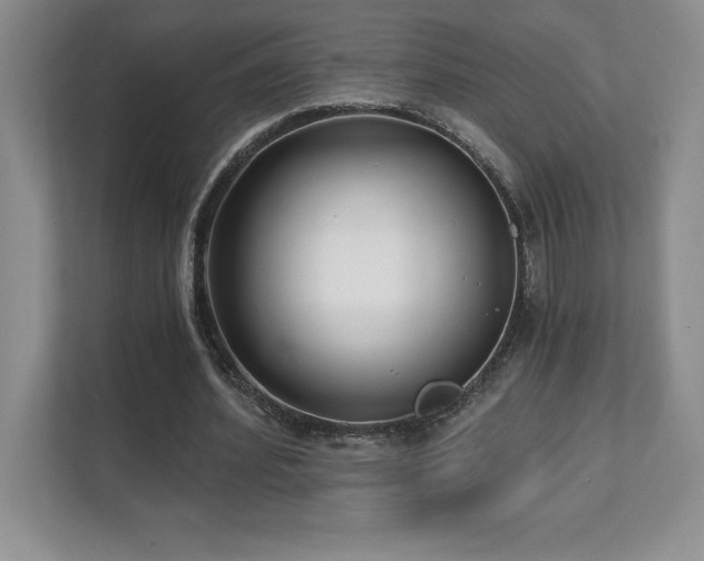 X0000112080580200908041256