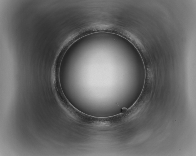 X0000112080582200908041256