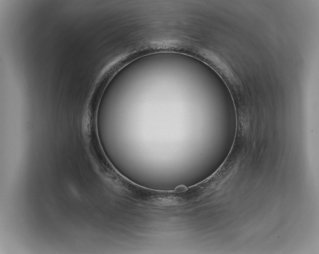 X0000112080583200908041256