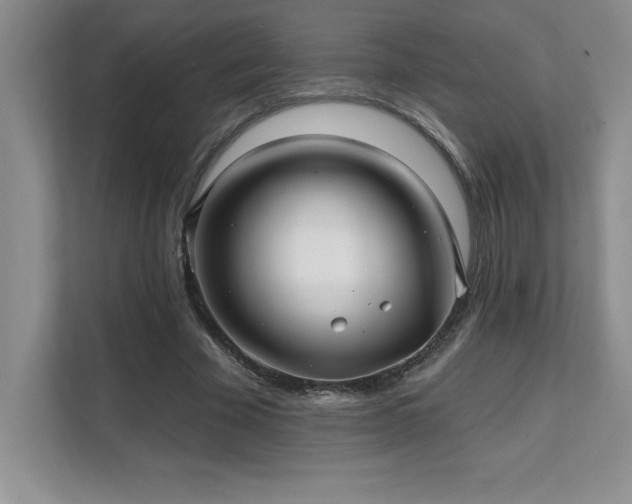 X0000112080585200908041255