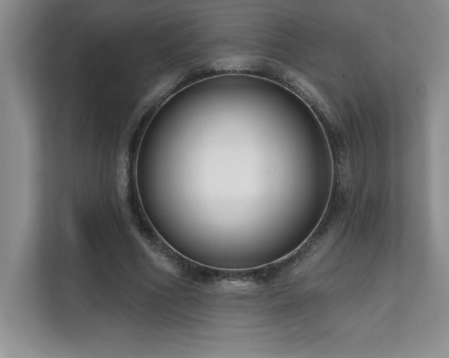 X0000112080586200908041255