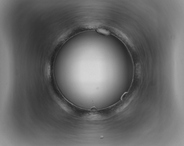 X0000112080589200908041255