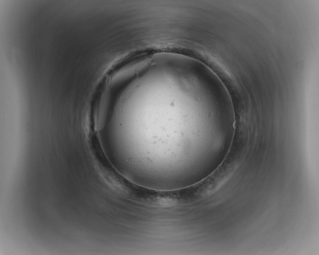 X0000112080592200908041255
