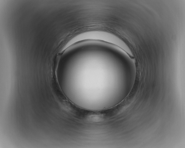 X0000112080595200908041255